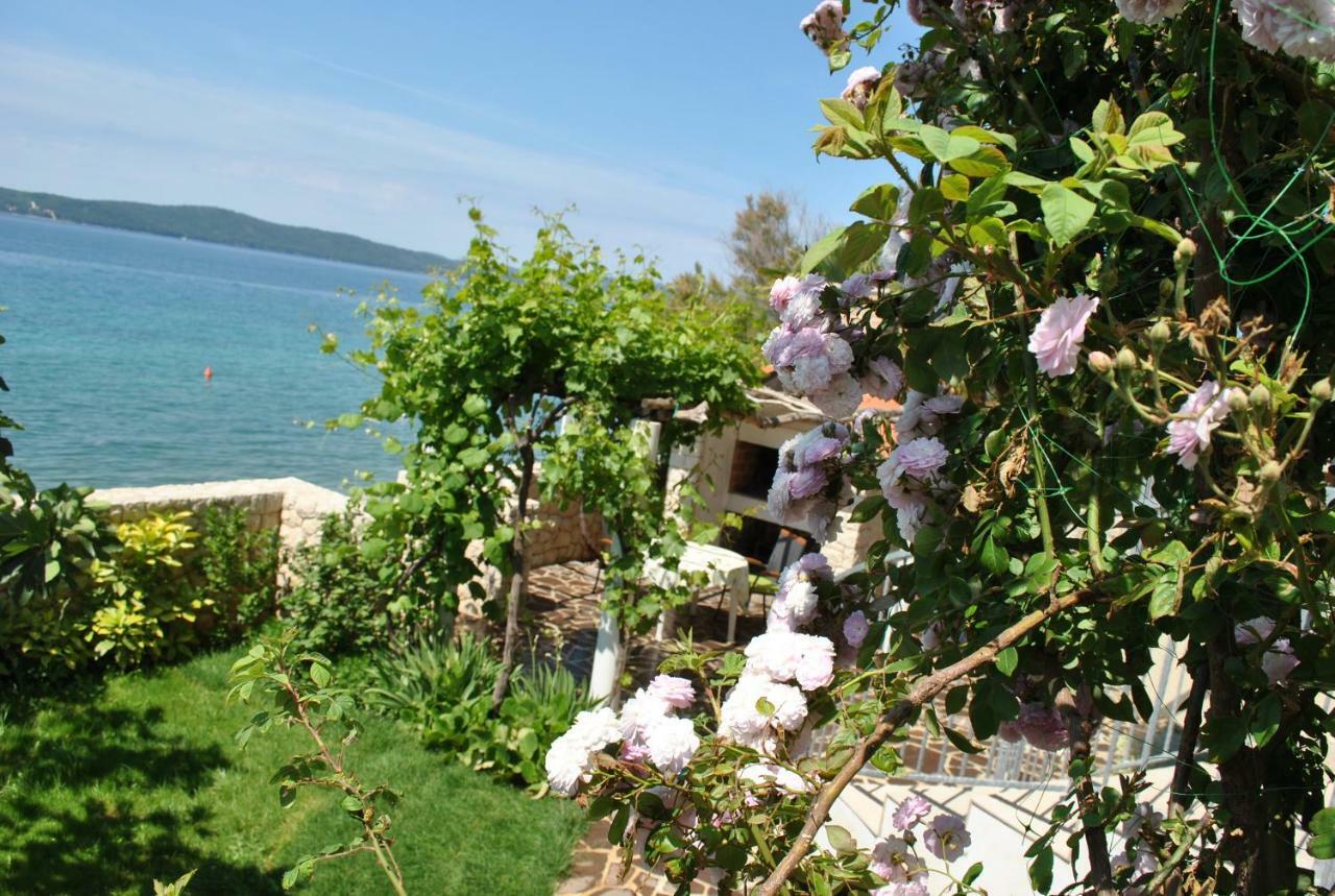 Apartment Cinthija Bibinje Εξωτερικό φωτογραφία